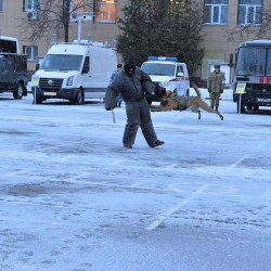 dsc_0465.jpg