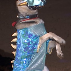 dsc_3051.jpg