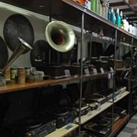 dsc_5599.jpg