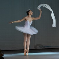 dsc_8694.jpg