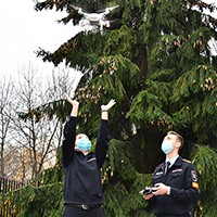 dsc_9298.jpg
